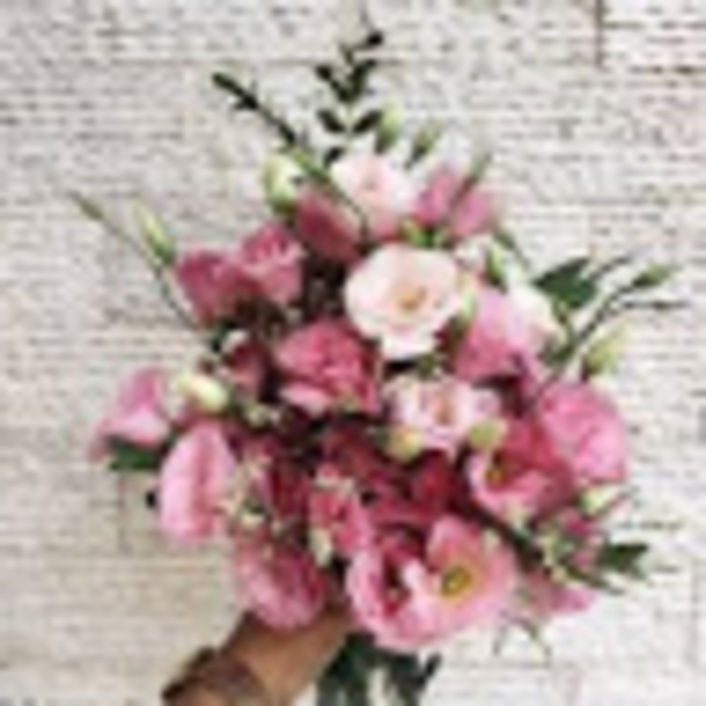 Meet your Posher, Izabella